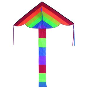 Single Line Delta Wing Kite Easy Assembled With 30m String Line Beginner use