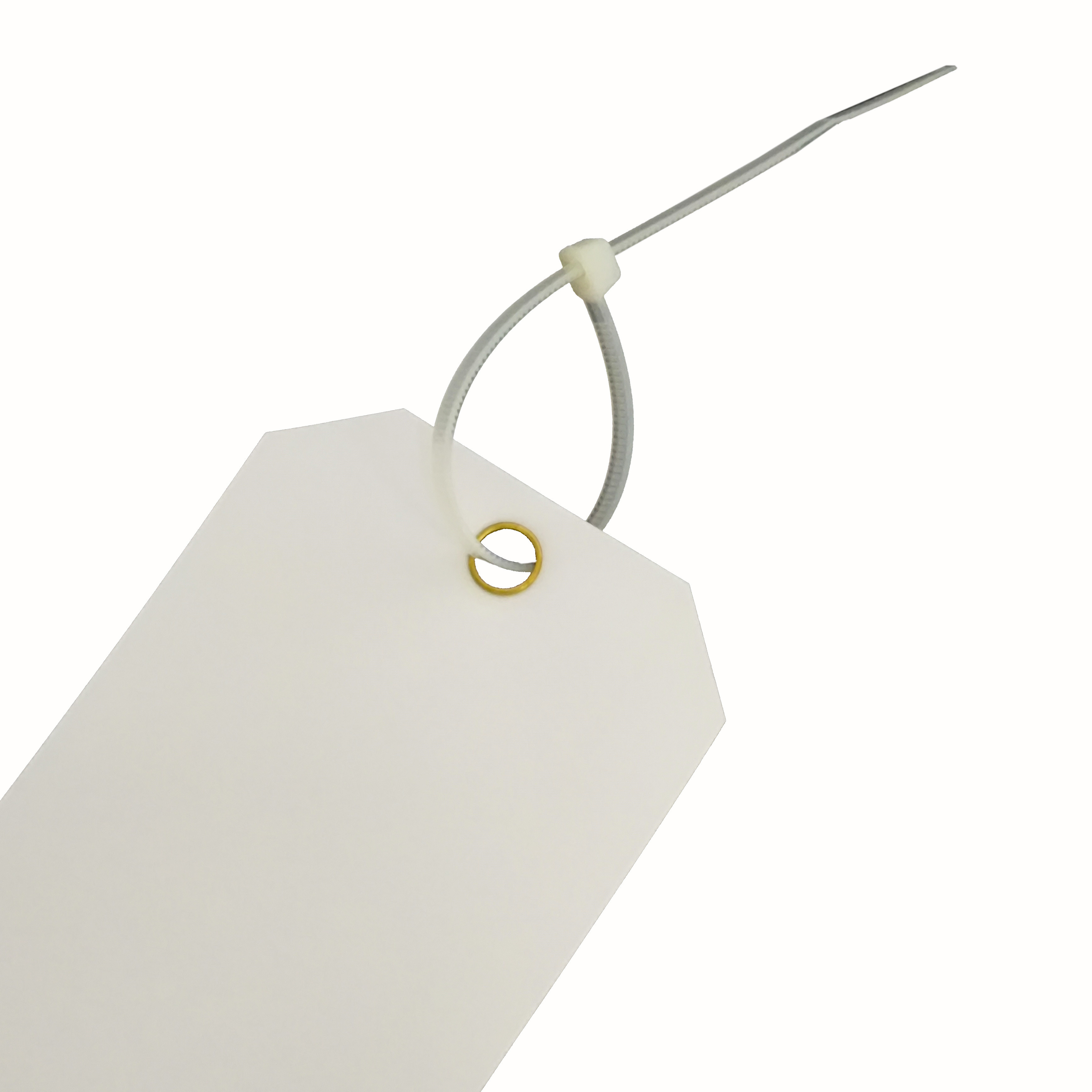 Colorful Plastic Safety Tag With Custom Design For Various Applications