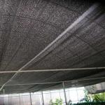 Plastic Shading Net Roll 2x50m For Greenhouse Field Anti Dust Coving Net