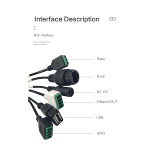 Infrared Face Recognition Temperature Measurement System Non Contact For