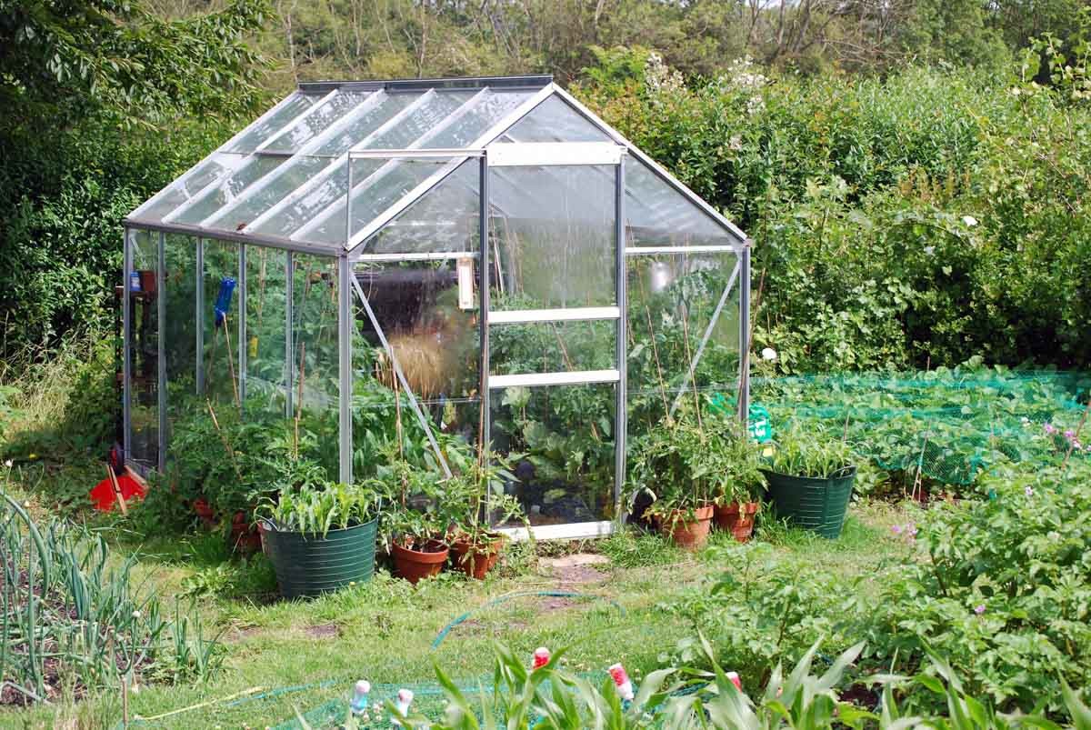 4mm Tempered Patterned Glass for Vegetable Plants Growing Greenhouse and Garden Glass House