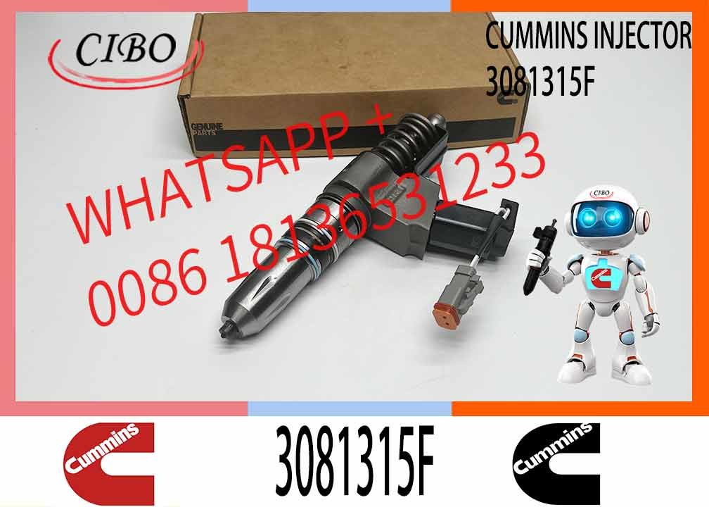 Machinery Engine Parts Common Rail Fuel Injector 3411760 3081315F 3409975 For Cummins N14