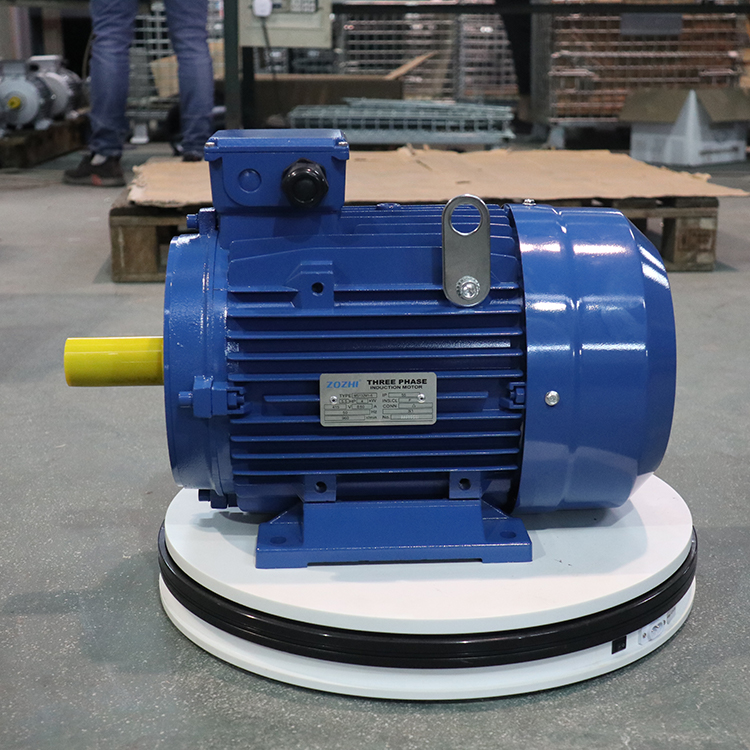 ms three phase electric motor