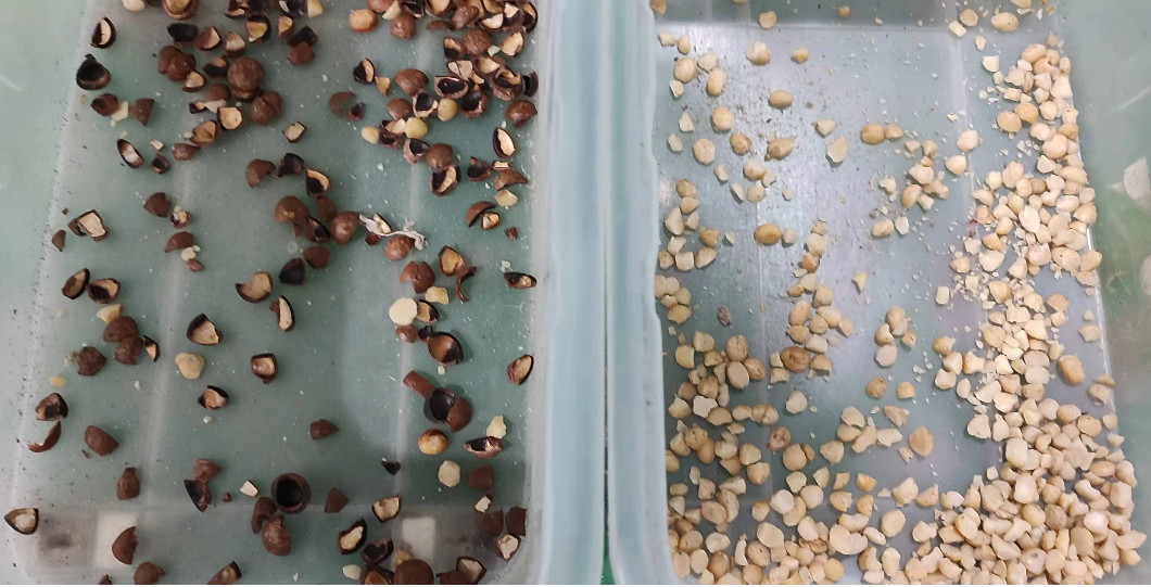 4 Chutes Nuts Sunflower Seeds Color Sorter Machine Fully Automatic Intelligent