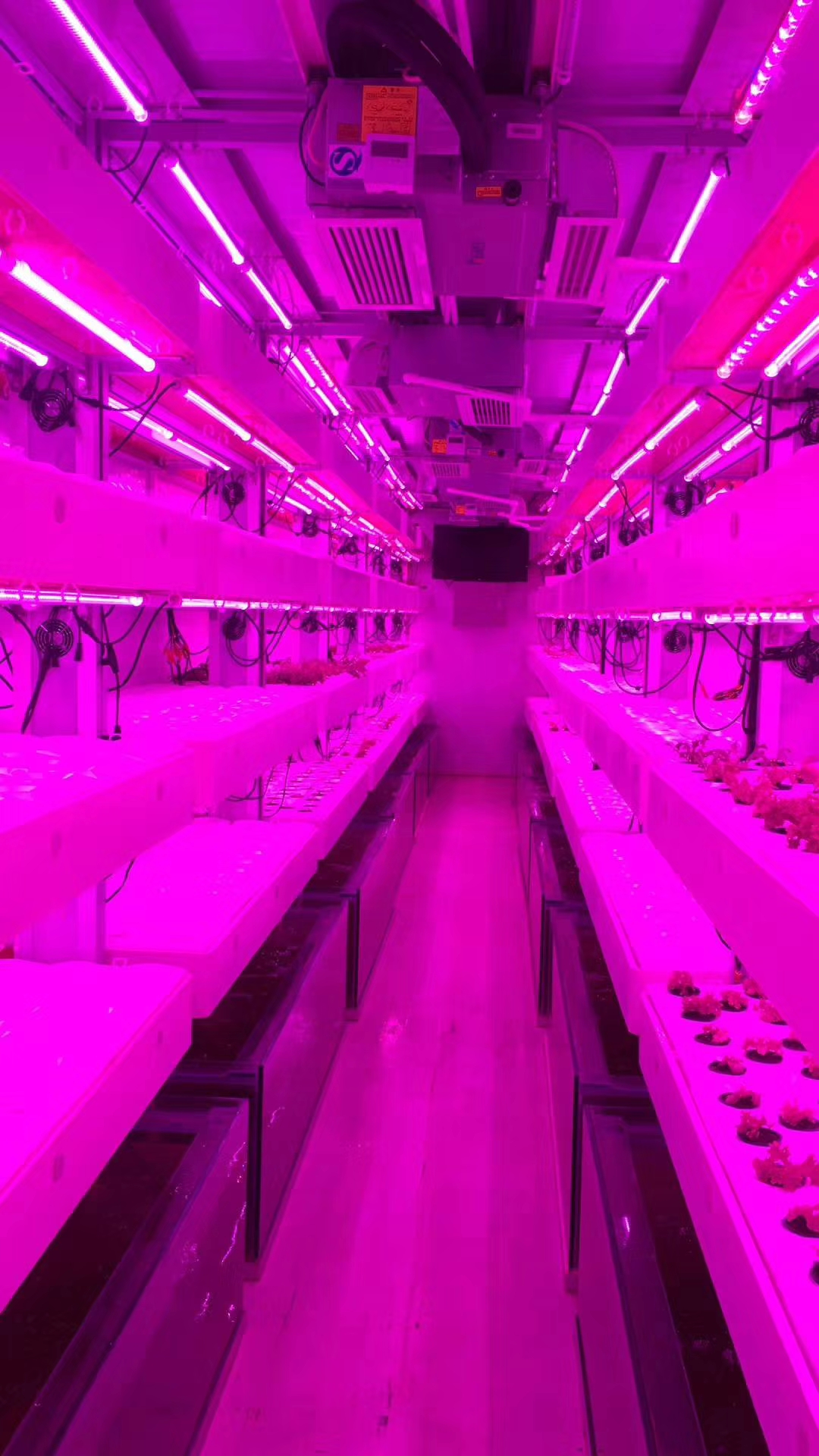 Smart Grow Hydroponic Vertical Farming System Shipping Container Farm Greenhouse