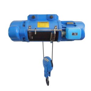 Customized Design Wireless Remote Control Electric Hoist For Crane