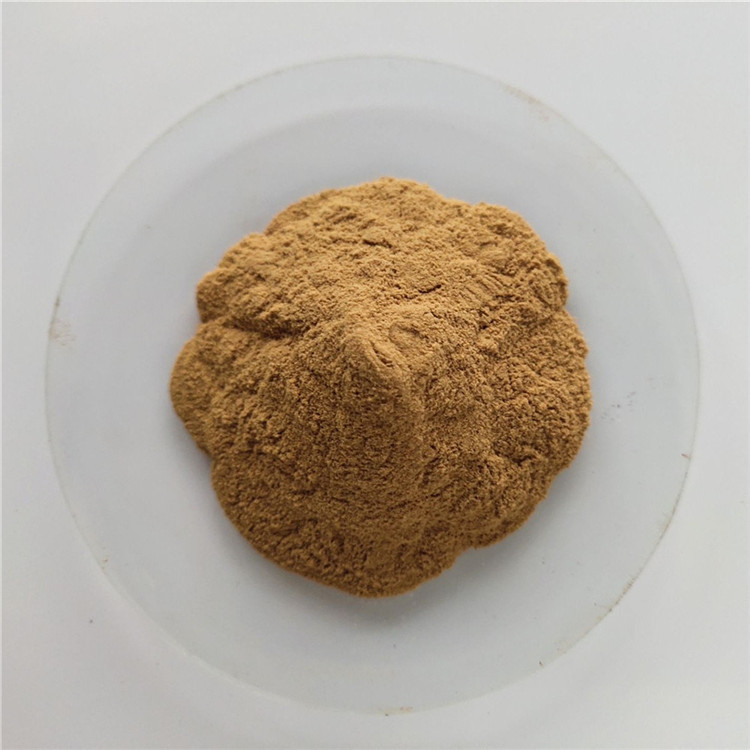 Hairyvein Agrimonia Herb Extract For Hemostasis