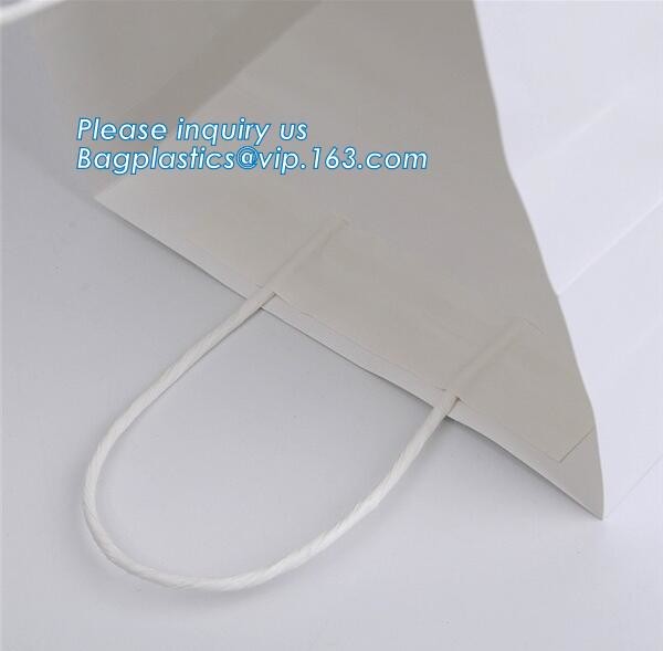 Luxury Paper Gift Carrier Shopping Bag Party Bag with Handles,printed paper carrier bag for apparel shopping bag, bageas