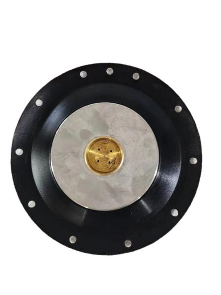 OEM Stainless Steel 24V Solenoid Valve Diaphragm 50000 Times Lifespan Temperatur