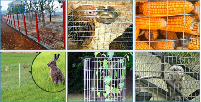 ODM PVC Coated Welded Wire Mesh Panels 3/4''X3/4'' Black Wire Fence Roll