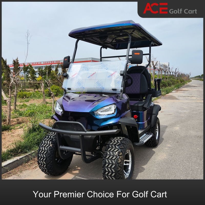 EV Custom Golf Cart 4000W 4 Passengers Four Wheel Electric Tricycle