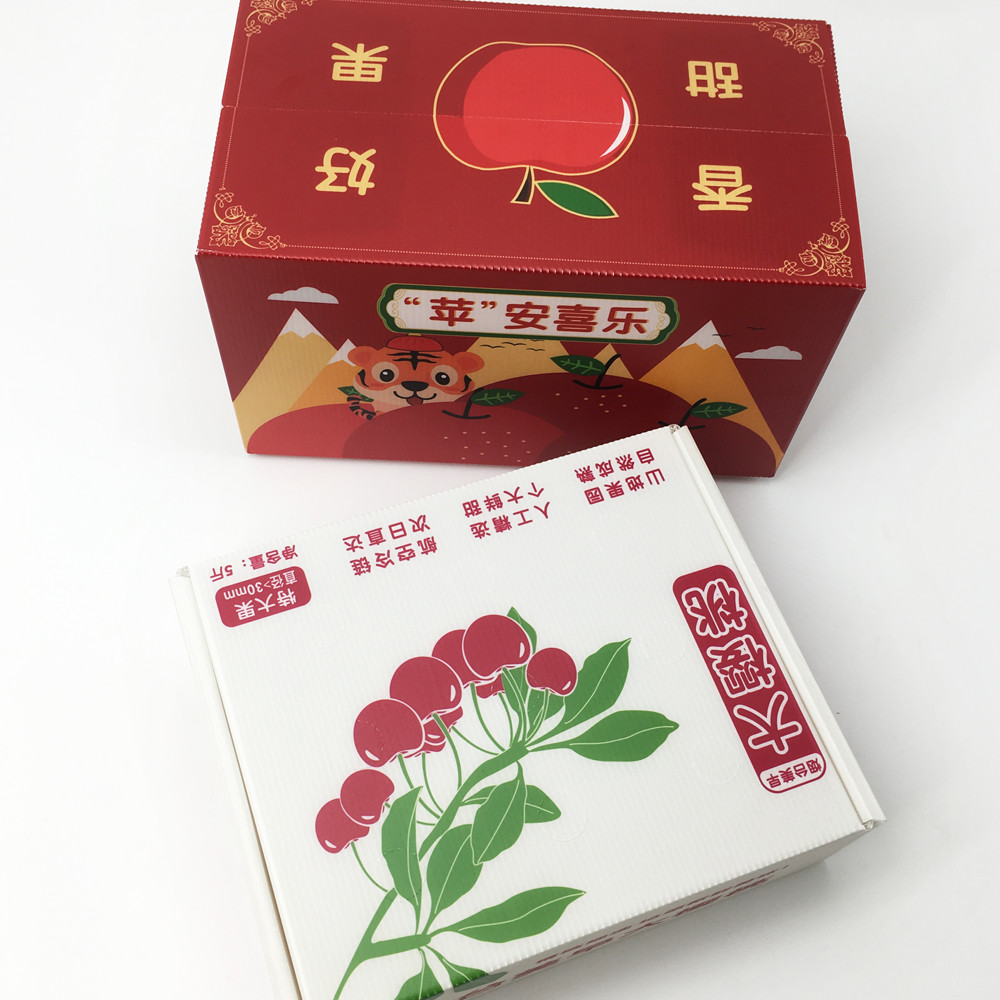 Reusable Impact Resistance Waterproof Corrugated Plastic Carton Polypropylene Box 4mm