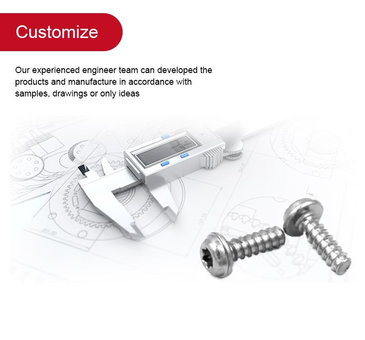 Metric Zinc Plated Torx Pan Head Self-tapping Screws for Long-lasting Performance