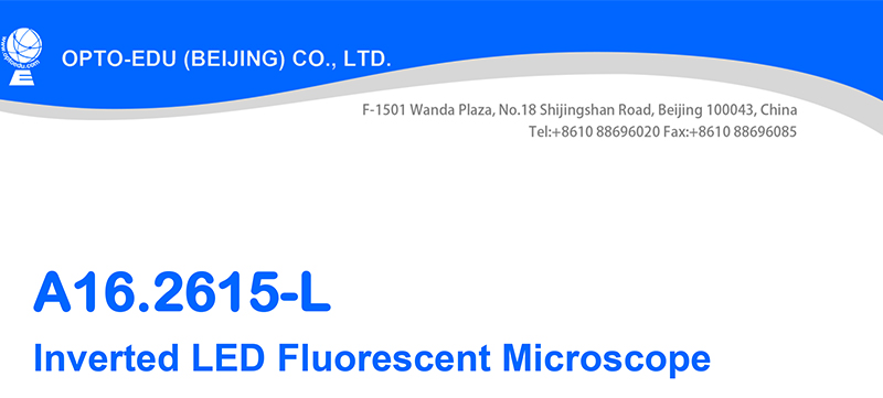Inverted Fluorescence Led Digital Microscope