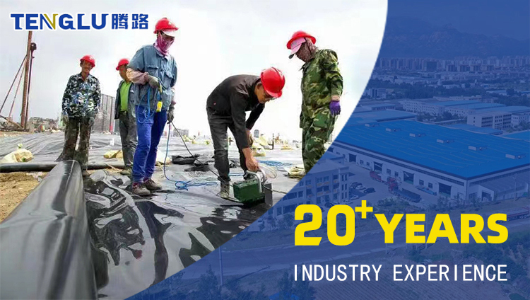 Best Geomembrane Welding Machine for PE PP PVC Tenglu Supply 0.2-2.5mm Plastic Welder