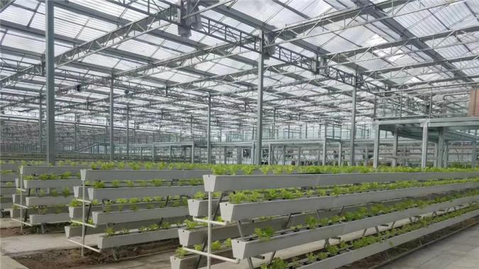 Multi-Span Film Greenhouse Roll Up Motor with 60N/M Torque in Red Blue and Yellow