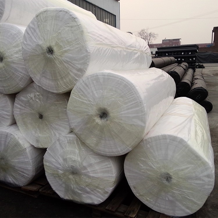 Biodegradable Non Woven Landscape Fabric 100% Pp Materials Cloth For Agriculture Cover