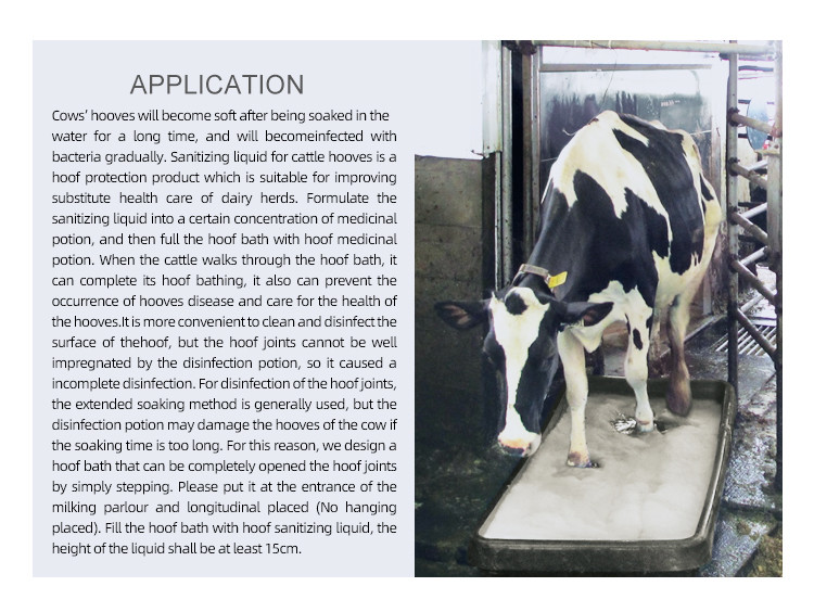 Cows Hoof Disinfection Bath Durable Chuangpu Brand Plastic Cow Footbath 1850mm