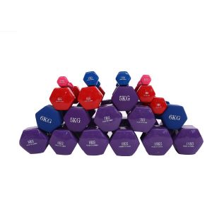 Vinyl Neoprene Coated Adjustable Dumbbell Set , Unisex 6kg Dumbbell Set
