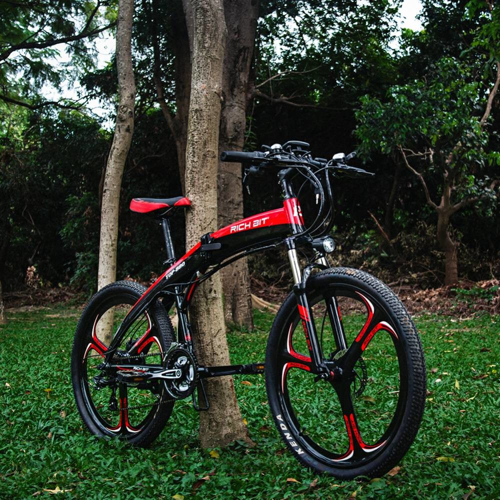 Small Lightweight Fold Up Electric Bike Lunar Shape 36v 250w 9.6ah RICH BIT Top-880