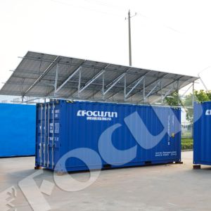 Convenient and Portable Ice Storage with Foucusun Solar Powered Container Other Capacity