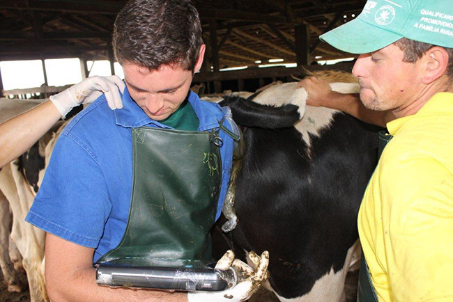 Good Image Portable Veterinary Ultrasound Scanner For Horse Cow Dog Cat Bird