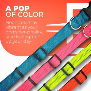 Adjustable Soft Neoprene Padded Dog Collar Keeps Dogs Safe and Stylish