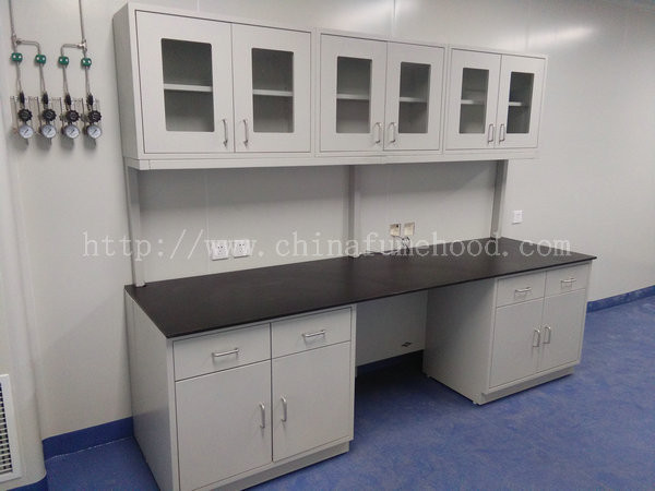 Customized Steel Lab Furniture , Laboratory Desk Furniture With Reagent Rack