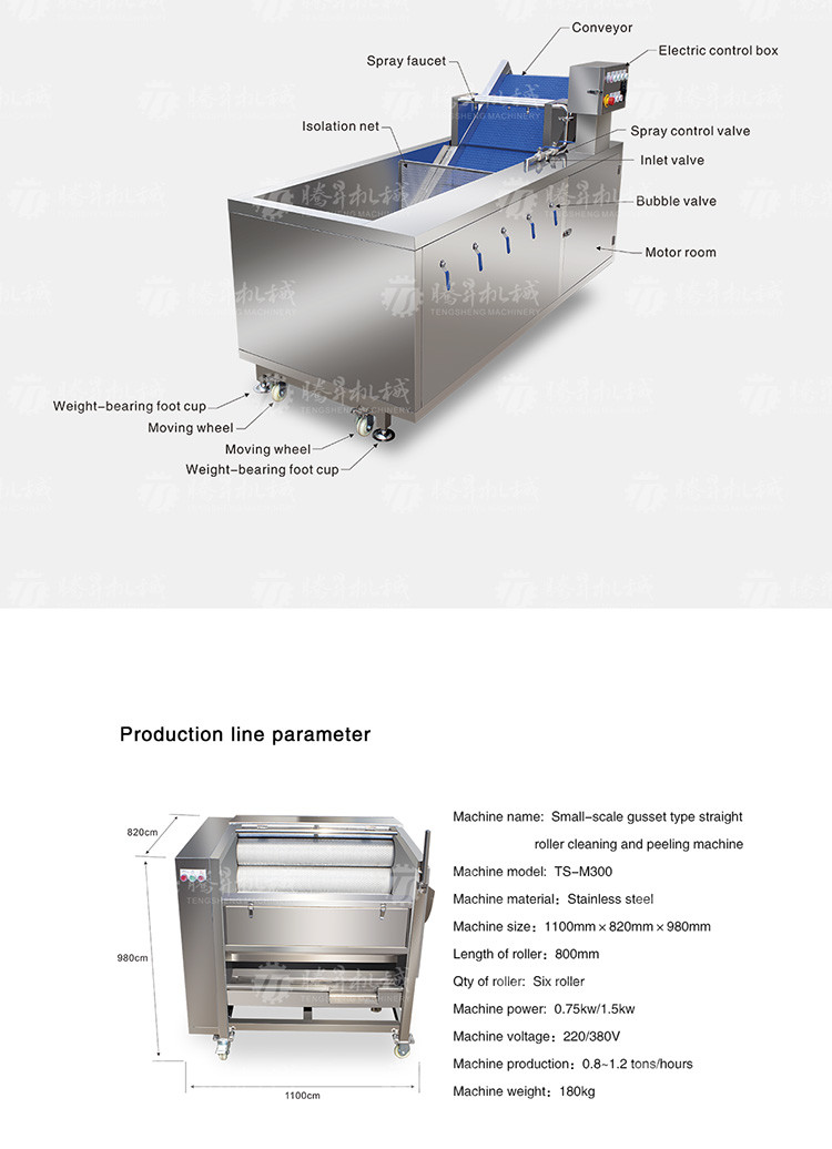 Multifunctional Vegetable And Fruit Processing Line Hair Roller Bubble Cleaning Production Line