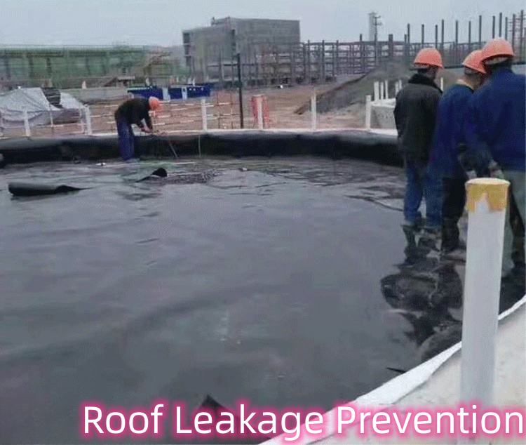Outdoor Double Smooth Geomembrane for Fish Pond Liner and Landfill Sites Directly Sold