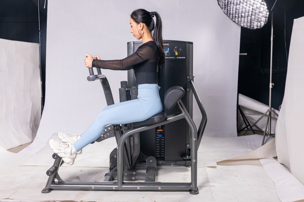 Dual Functional Strength Equipment Back Extension/Abdominal Leg Press Machine Commercial Fitness Gym Pin Loaded Machine