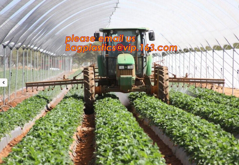 cheap and durable plastic colored anti mosquito netting/window insect screen,Industrial Agricultural Greenhouses use 2m