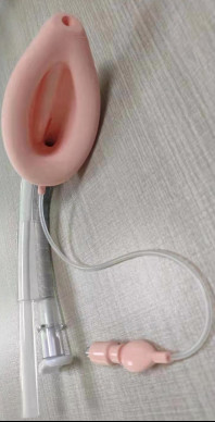 Double Lumen Intubating Laryngeal Mask Airway Class II Hospital Product