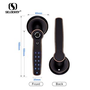Remote Tuya App WIFI Mechanical Concealed Door Lock