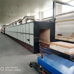 Customized Ceramic Tunnel Kiln Continuous Automatic Temperature Controlling