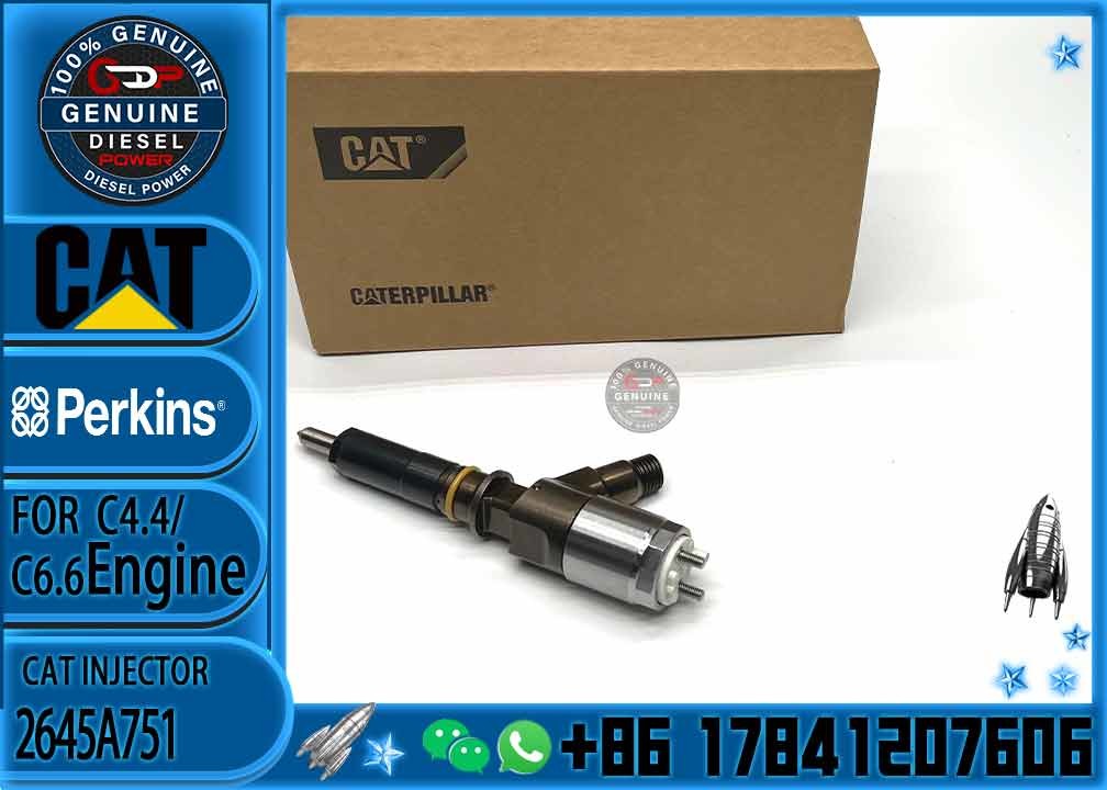 High Quality Diesel Fuel Injector 2645A751 321-3600 320-0677 320-0690 320-0680 2645A709 295-9130 382-0480