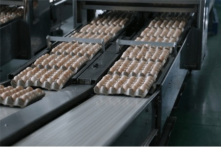 Egg Tray Forming Machine Paper Pulp Egg Tray Coffee Tray Making Machine