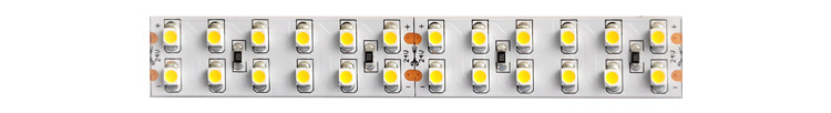 10mm Single Color LED Strip Flexible Customizable Dimmable LED Tape Light 12V 24V For Ceiling