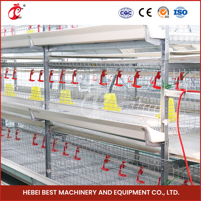 Automated A Type Broiler Chicken Cage Commercial Farmining Chicken Cages for Poultry Farm Emily Wang