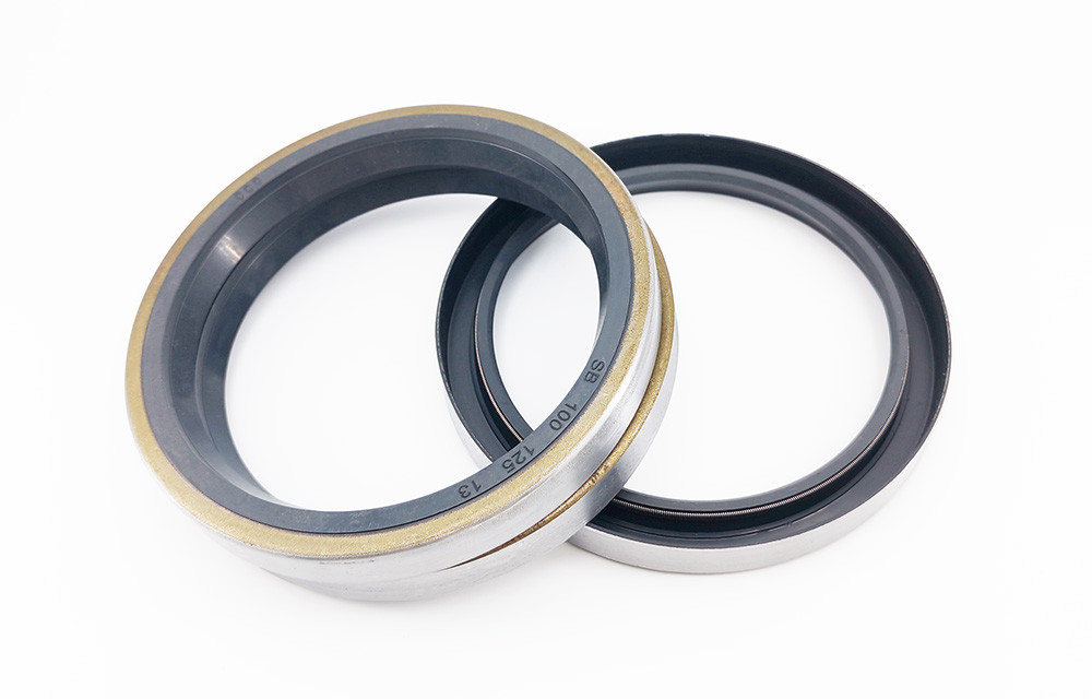Double Lip Oil Seals Hydraulic Pump Oil Seal Rubber Mechanical O Ring Seals
