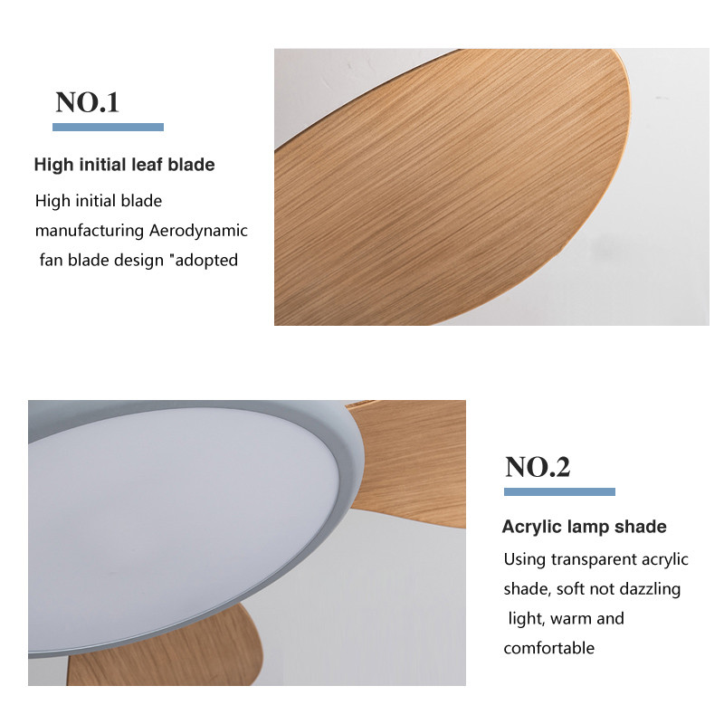 Wholesale Custom 110V-220V Electric Indoor Frequency Conversion Remote Control LED Ceiling Fan Light Distribution Ceiling Lights