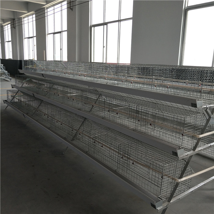 195 * 50 * 35CM Chick Brooder Cage , High Efficiency Cage Layer Farming