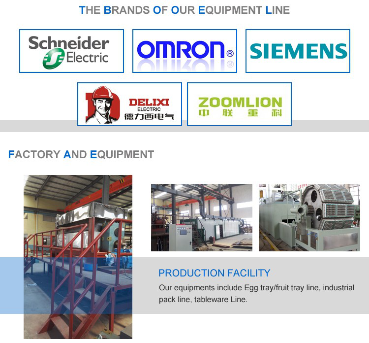 Small Pulp Packaging Machine 80KW Dish Plate Making Video Technical Support