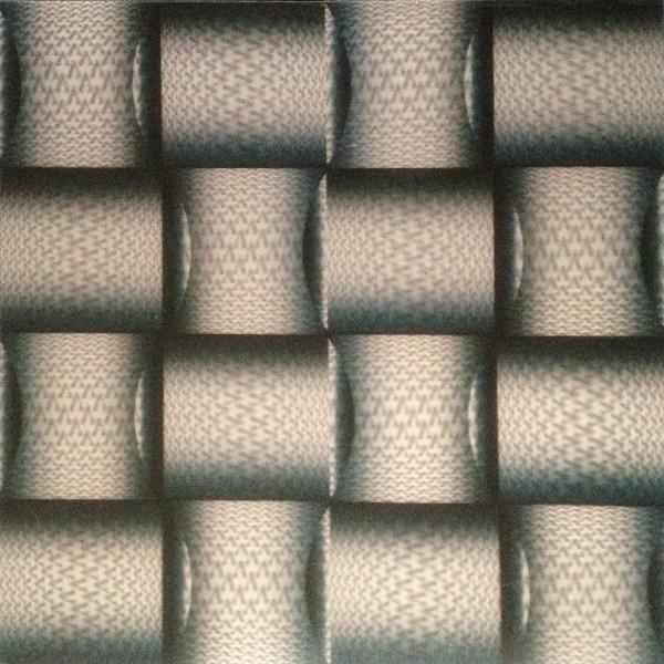 500x500mm PVC Plastic 3D Board for Interior Wall/Ceiling Decoration Size