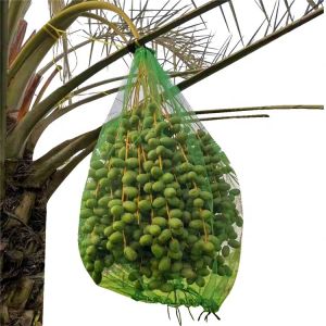 Quick Delivery HDPE Mesh Net Bag for Harvesting and Preserving Dates Palm in 40g
