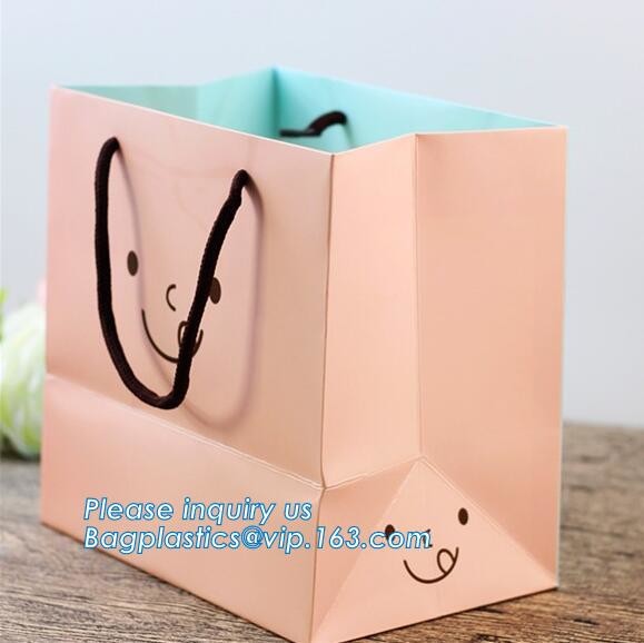 Luxury Rope Handle Laminated Paper Carrier Bags,brand Luxury laminated manila carrier paper hand bag, bagplastics, bagea