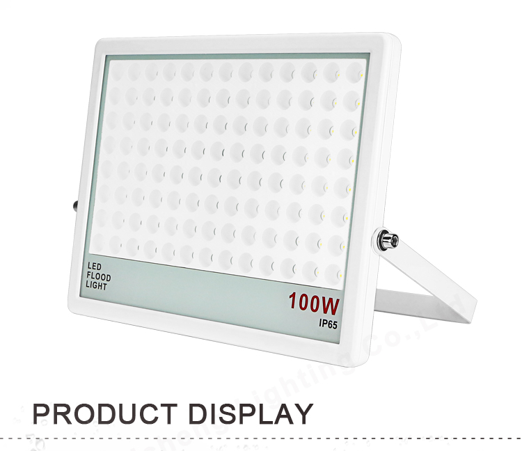 ODM Optical Design 100W Led Flood Lamps Outdoor With Driver