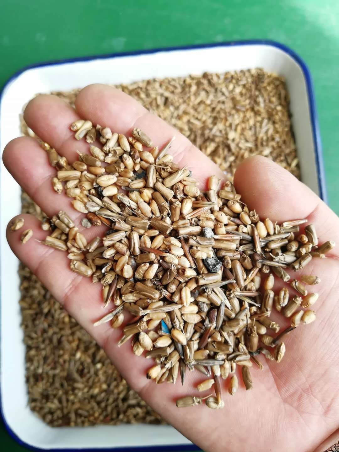 Almond Cashew Red Bean Nuts Color Sorter 256 Channels Optical Color Sorter