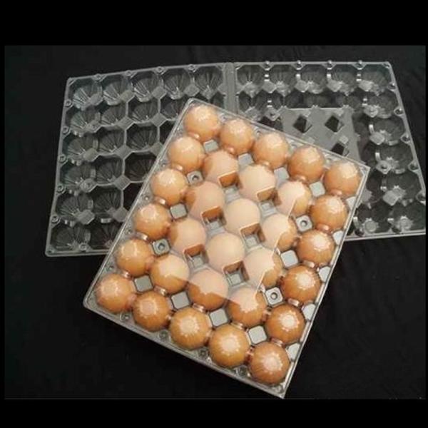 Folding 0.4mm 30 Cells Plastic Blister Packaging Non Toxic Polymer Egg Holder