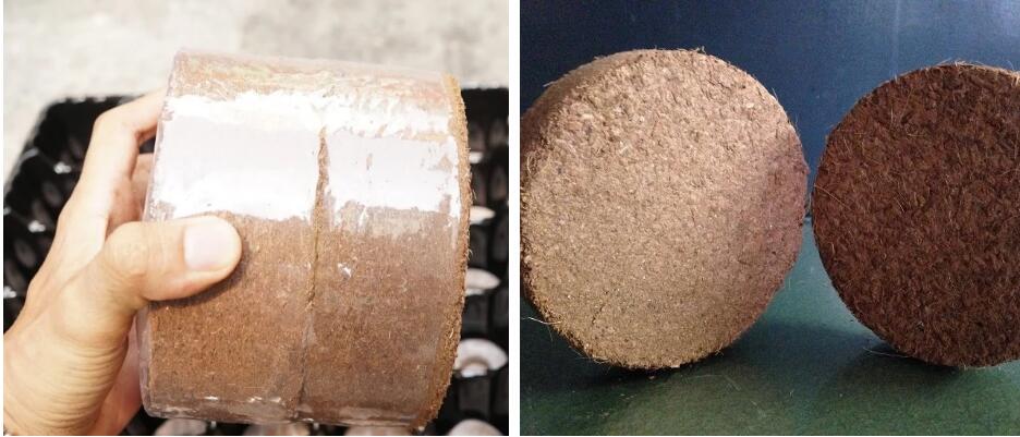 3500 KG Capacity Coconut Coir Bricks Pressing Machine for Bale Size 600*400*300 mm